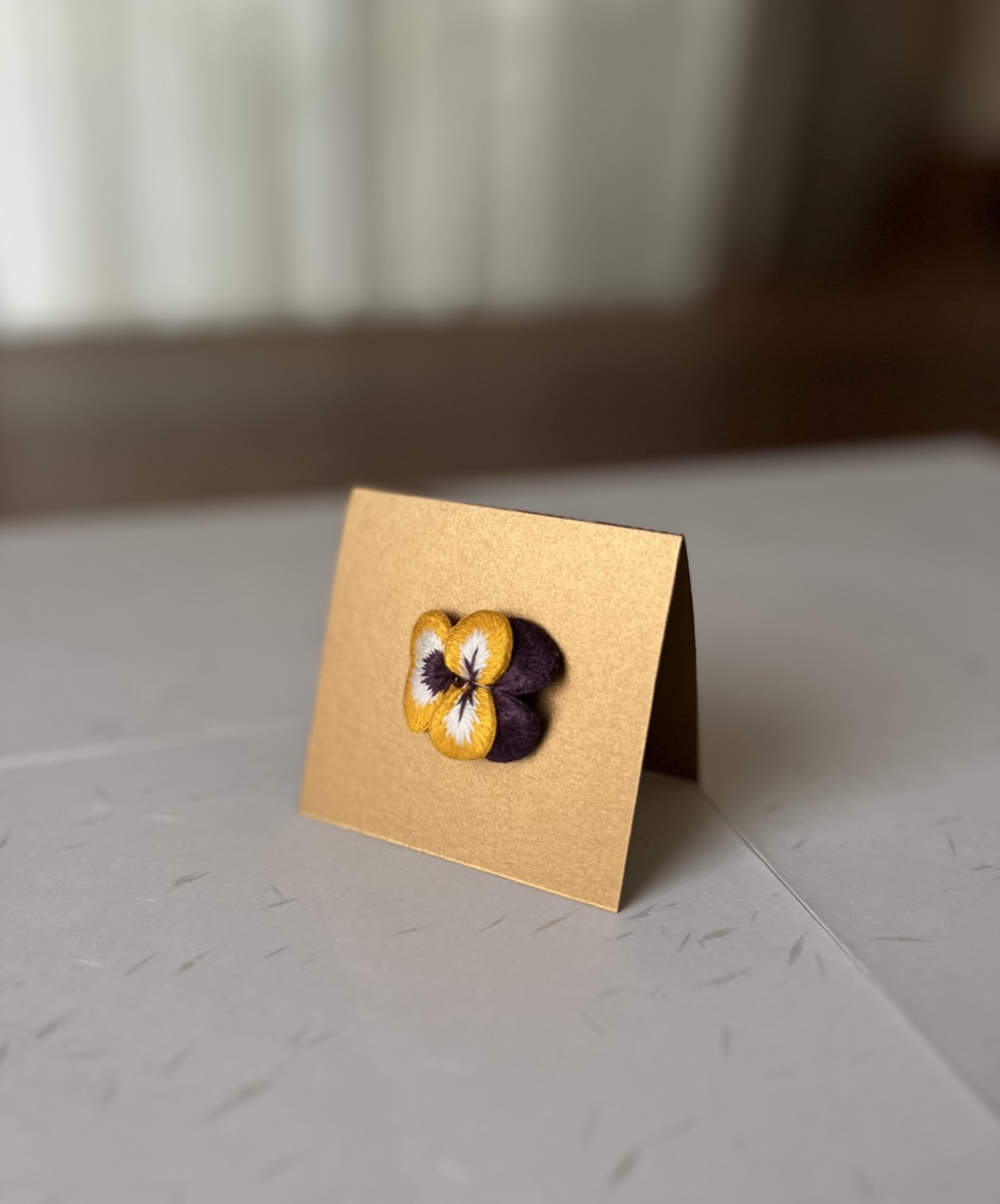 Pansy — Piccolo Fiore